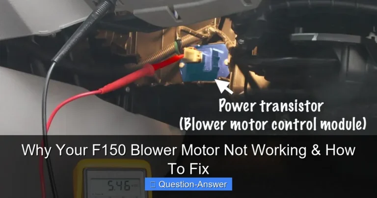 Why Your F150 Blower Motor Not Working & How To Fix